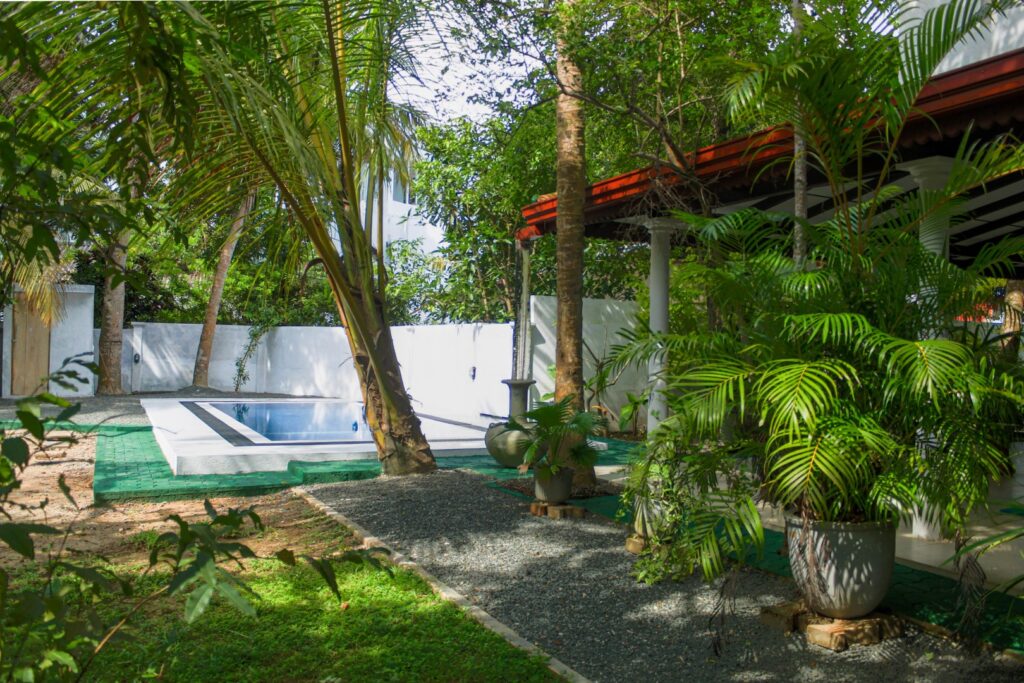 img 8099 hdr (large)