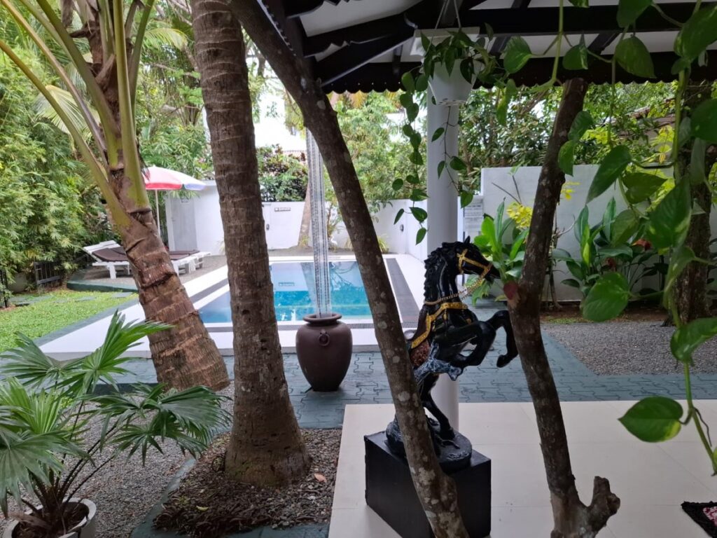 whatsapp image 2025 11 22 at 12.03.25 (large)